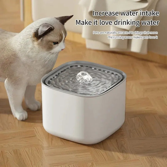 pet water fountain